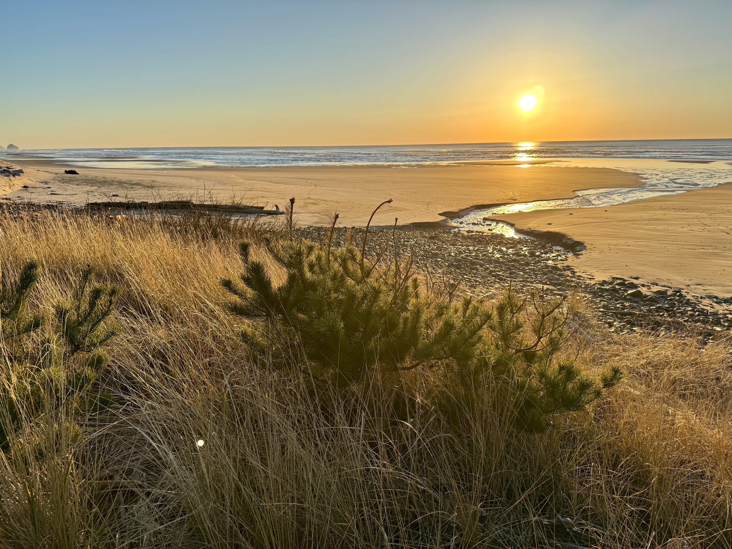 Sunset over a quiet beach with golden sand and coastal grasses.
